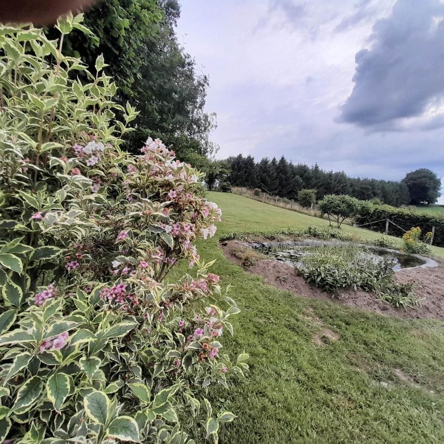 Le Gite Pierre Et Bois Houffalize Exterior foto